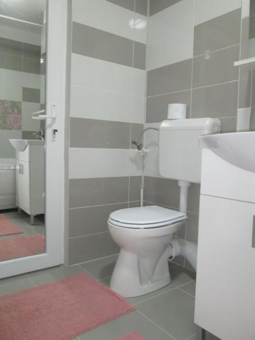 Apartament Sarra Τιργκόβιστε Εξωτερικό φωτογραφία